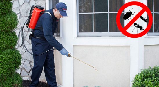 Sarayönü Tahtakurusu İlaçlama böcek ilaçlama ve haşere kontrolü — ilaclama-tr.com